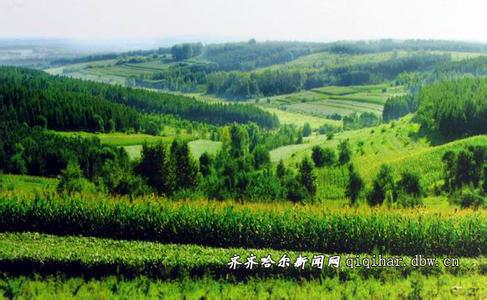 齊齊哈爾拜泉天氣預報_拜泉天氣預報一周7天10天15天齊齊哈爾拜泉天氣預報,拜泉天氣預報一周7天10天15天
