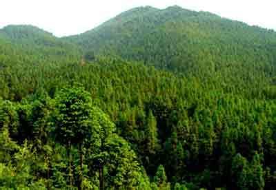 黑龍江雙鴨山天氣預報_雙鴨山天氣預報一周7天10天15天黑龍江雙鴨山天氣預報,雙鴨山天氣預報一周7天10天15天