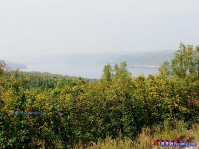 黑河愛輝天氣預(yù)報_愛輝天氣預(yù)報一周7天10天15天黑河愛輝天氣預(yù)報,愛輝天氣預(yù)報一周7天10天15天