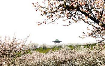 南京溧水天氣預報_溧水天氣預報一周7天10天15天南京溧水天氣預報,溧水天氣預報一周7天10天15天