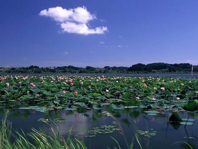 南京高淳天氣預(yù)報_高淳天氣預(yù)報一周7天10天15天南京高淳天氣預(yù)報,高淳天氣預(yù)報一周7天10天15天