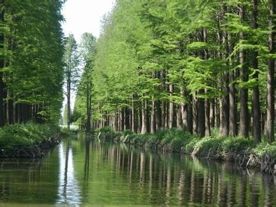 杭州臨安天氣預報_臨安天氣預報一周7天10天15天杭州臨安天氣預報,臨安天氣預報一周7天10天15天