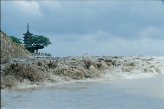 嘉興海寧天氣預報_海寧天氣預報一周7天10天15天嘉興海寧天氣預報,海寧天氣預報一周7天10天15天