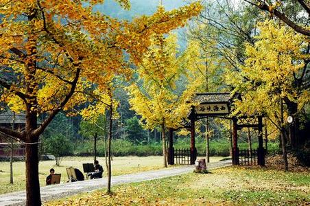紹興諸暨天氣預報_諸暨天氣預報一周7天10天15天紹興諸暨天氣預報,諸暨天氣預報一周7天10天15天