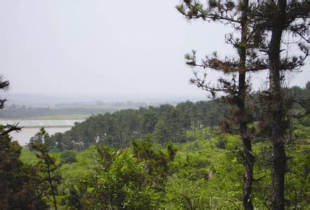 合肥長豐天氣預報_長豐天氣預報一周7天10天15天合肥長豐天氣預報,長豐天氣預報一周7天10天15天
