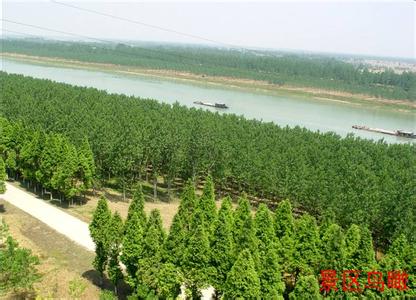 淮南鳳臺天氣預報_鳳臺天氣預報一周7天10天15天淮南鳳臺天氣預報,鳳臺天氣預報一周7天10天15天