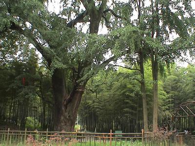 馬鞍山花山天氣預報_花山天氣預報一周7天10天15天馬鞍山花山天氣預報,花山天氣預報一周7天10天15天