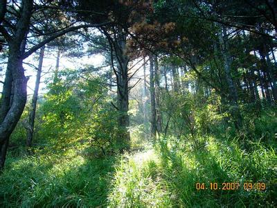 安徽黃山天氣預報_黃山天氣預報一周7天10天15天安徽黃山天氣預報,黃山天氣預報一周7天10天15天