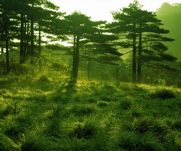 黃山黃山區天氣預報_黃山區天氣預報一周7天10天15天黃山黃山區天氣預報,黃山區天氣預報一周7天10天15天