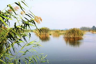 宿州泗縣天氣預報_泗縣天氣預報一周7天10天15天宿州泗縣天氣預報,泗縣天氣預報一周7天10天15天