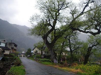 池州石臺天氣預報_石臺天氣預報一周7天10天15天池州石臺天氣預報,石臺天氣預報一周7天10天15天