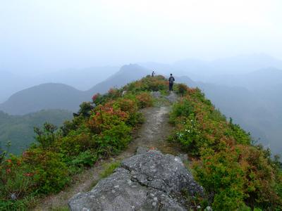 三明三元天氣預報_三元天氣預報一周7天10天15天三明三元天氣預報,三元天氣預報一周7天10天15天