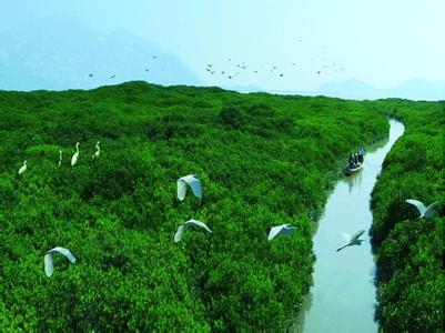 漳州云霄天氣預(yù)報_云霄天氣預(yù)報一周7天10天15天漳州云霄天氣預(yù)報,云霄天氣預(yù)報一周7天10天15天