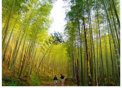 南平順昌天氣預報_順昌天氣預報一周7天10天15天南平順昌天氣預報,順昌天氣預報一周7天10天15天