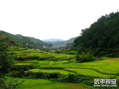 龍巖武平天氣預報_武平天氣預報一周7天10天15天龍巖武平天氣預報,武平天氣預報一周7天10天15天