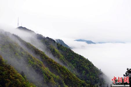 萍鄉湘東天氣預報_湘東天氣預報一周7天10天15天萍鄉湘東天氣預報,湘東天氣預報一周7天10天15天
