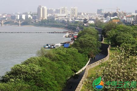 贛州章貢天氣預報_章貢天氣預報一周7天10天15天贛州章貢天氣預報,章貢天氣預報一周7天10天15天