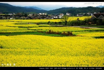 吉安永新天氣預報_永新天氣預報一周7天10天15天吉安永新天氣預報,永新天氣預報一周7天10天15天