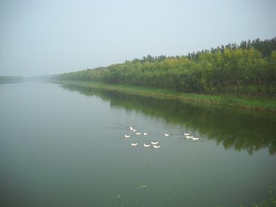 濟(jì)南商河天氣預(yù)報(bào)_商河天氣預(yù)報(bào)一周7天10天15天濟(jì)南商河天氣預(yù)報(bào),商河天氣預(yù)報(bào)一周7天10天15天