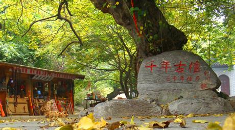 棗莊嶧城天氣預(yù)報(bào)_嶧城天氣預(yù)報(bào)一周7天10天15天棗莊嶧城天氣預(yù)報(bào),嶧城天氣預(yù)報(bào)一周7天10天15天