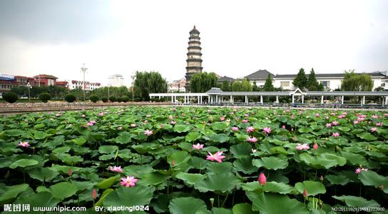 棗莊滕州天氣預(yù)報(bào)_滕州天氣預(yù)報(bào)一周7天10天15天棗莊滕州天氣預(yù)報(bào),滕州天氣預(yù)報(bào)一周7天10天15天