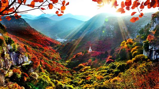 濰坊臨朐天氣預報_臨朐天氣預報一周7天10天15天濰坊臨朐天氣預報,臨朐天氣預報一周7天10天15天