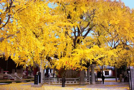 日照莒縣天氣預報_莒縣天氣預報一周7天10天15天日照莒縣天氣預報,莒縣天氣預報一周7天10天15天