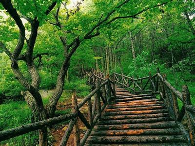 臨沂蒙陰天氣預報_蒙陰天氣預報一周7天10天15天臨沂蒙陰天氣預報,蒙陰天氣預報一周7天10天15天