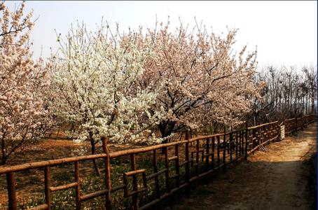 鄭州二七天氣預(yù)報(bào)_二七天氣預(yù)報(bào)一周7天10天15天鄭州二七天氣預(yù)報(bào),二七天氣預(yù)報(bào)一周7天10天15天