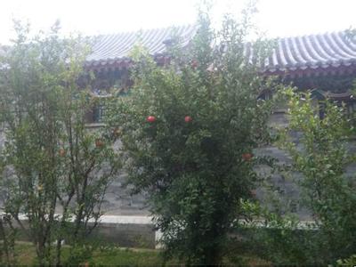 開封開封縣天氣預報_開封縣天氣預報一周7天10天15天開封開封縣天氣預報,開封縣天氣預報一周7天10天15天