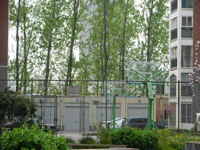 平頂山葉縣天氣預報_葉縣天氣預報一周7天10天15天平頂山葉縣天氣預報,葉縣天氣預報一周7天10天15天