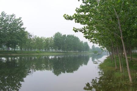 商丘寧陵天氣預報_寧陵天氣預報一周7天10天15天商丘寧陵天氣預報,寧陵天氣預報一周7天10天15天