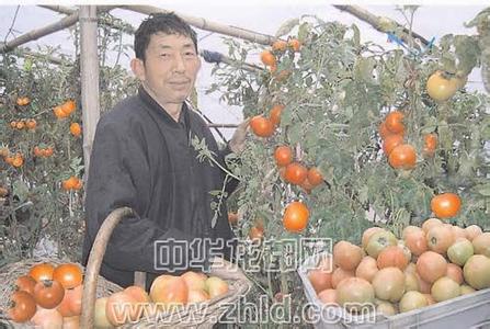 周口扶溝天氣預報_扶溝天氣預報一周7天10天15天周口扶溝天氣預報,扶溝天氣預報一周7天10天15天