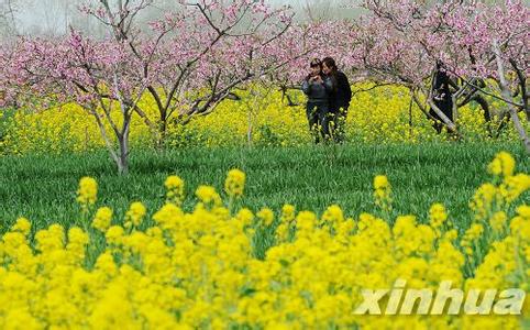 周口西華天氣預報_西華天氣預報一周7天10天15天周口西華天氣預報,西華天氣預報一周7天10天15天