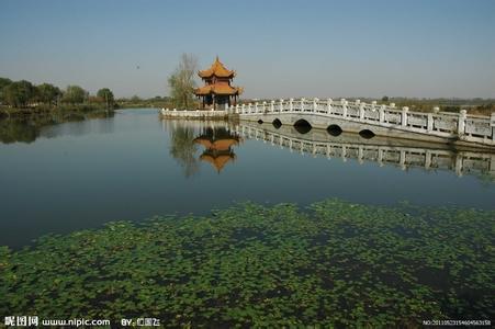 周口淮陽天氣預報_淮陽天氣預報一周7天10天15天周口淮陽天氣預報,淮陽天氣預報一周7天10天15天