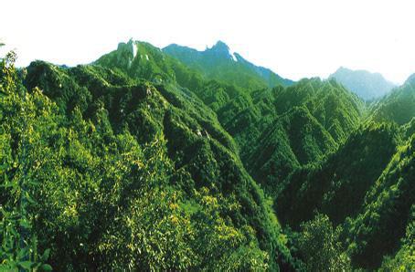 駐馬店泌陽天氣預報_泌陽天氣預報一周7天10天15天駐馬店泌陽天氣預報,泌陽天氣預報一周7天10天15天