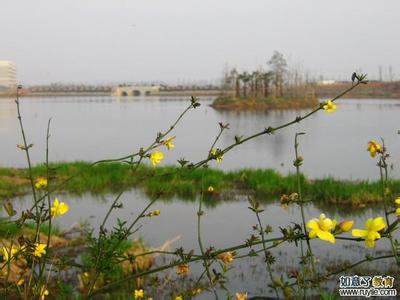 武漢青山天氣預報_青山天氣預報一周7天10天15天武漢青山天氣預報,青山天氣預報一周7天10天15天