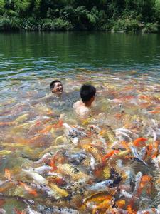黃石陽新天氣預報_陽新天氣預報一周7天10天15天黃石陽新天氣預報,陽新天氣預報一周7天10天15天