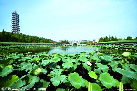 湖北鄂州天氣預(yù)報(bào)_鄂州天氣預(yù)報(bào)一周7天10天15天湖北鄂州天氣預(yù)報(bào),鄂州天氣預(yù)報(bào)一周7天10天15天