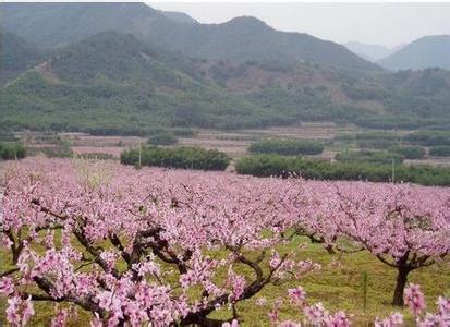 鄂州華容天氣預報_華容天氣預報一周7天10天15天鄂州華容天氣預報,華容天氣預報一周7天10天15天