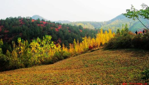 湖北黃岡天氣預報_黃岡天氣預報一周7天10天15天湖北黃岡天氣預報,黃岡天氣預報一周7天10天15天
