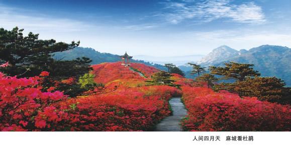 黃岡麻城天氣預(yù)報(bào)_麻城天氣預(yù)報(bào)一周7天10天15天黃岡麻城天氣預(yù)報(bào),麻城天氣預(yù)報(bào)一周7天10天15天