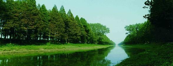 湖北潛江天氣預報_潛江天氣預報一周7天10天15天湖北潛江天氣預報,潛江天氣預報一周7天10天15天