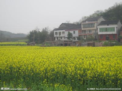 衡陽衡陽縣天氣預報_衡陽縣天氣預報一周7天10天15天衡陽衡陽縣天氣預報,衡陽縣天氣預報一周7天10天15天
