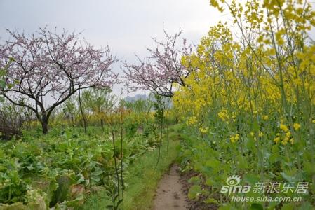 邵陽北塔天氣預報_北塔天氣預報一周7天10天15天邵陽北塔天氣預報,北塔天氣預報一周7天10天15天