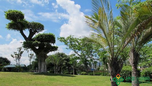 深圳光明天氣預報_光明天氣預報一周7天10天15天深圳光明天氣預報,光明天氣預報一周7天10天15天