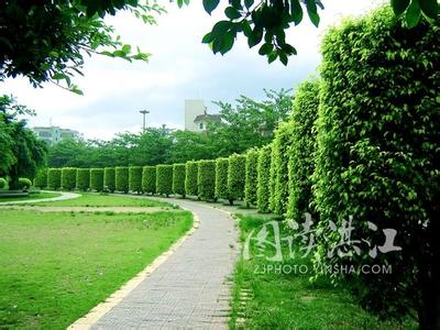 湛江遂溪天氣預報_遂溪天氣預報一周7天10天15天湛江遂溪天氣預報,遂溪天氣預報一周7天10天15天