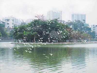 惠州惠城天氣預報_惠城天氣預報一周7天10天15天惠州惠城天氣預報,惠城天氣預報一周7天10天15天