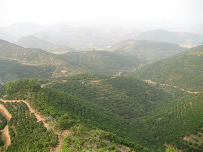 云浮云安天氣預(yù)報(bào)_云安天氣預(yù)報(bào)一周7天10天15天云浮云安天氣預(yù)報(bào),云安天氣預(yù)報(bào)一周7天10天15天