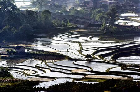 桂林臨桂天氣預(yù)報_臨桂天氣預(yù)報一周7天10天15天桂林臨桂天氣預(yù)報,臨桂天氣預(yù)報一周7天10天15天